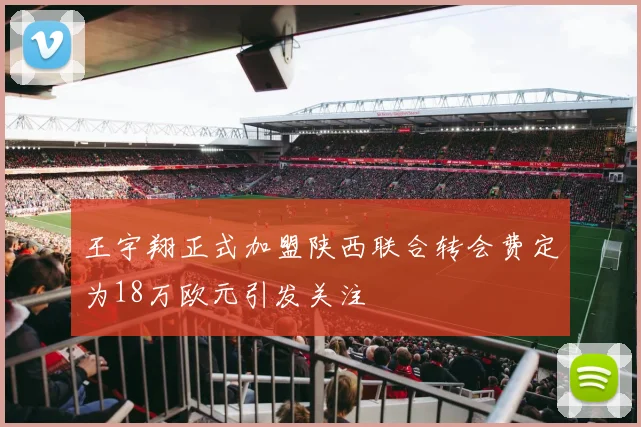 王宇翔正式加盟陕西联合转会费定为18万欧元引发关注