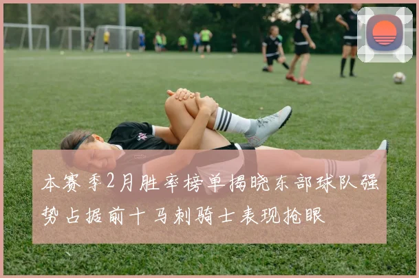 本赛季2月胜率榜单揭晓东部球队强势占据前十马刺骑士表现抢眼