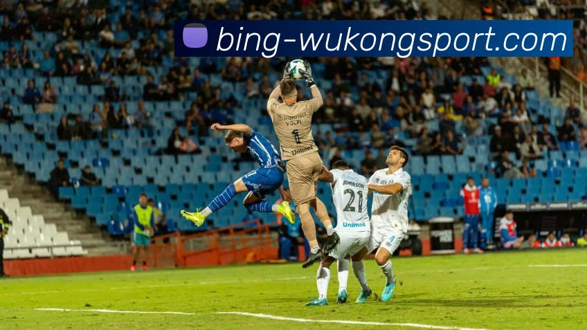 多媒体互动体验