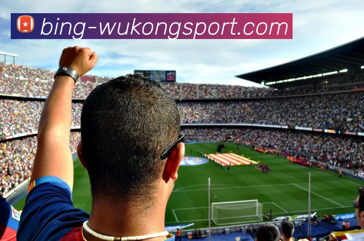 悟空体育APP 体育赛事宣传图